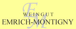 a_E_Mmainlogo