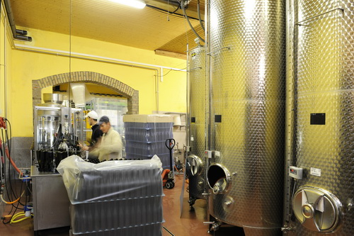 Weinabfllung im Weingut Emrich-Montigny in Bad Kreuznach Planig