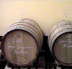 Barriquefsser mit Grauburgunder