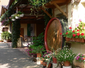 Winzerhof
